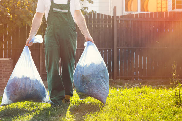 Best Basement Cleanout Services  in Lena, IL