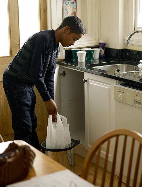 Best Trash Removal Near Me  in Lena, IL